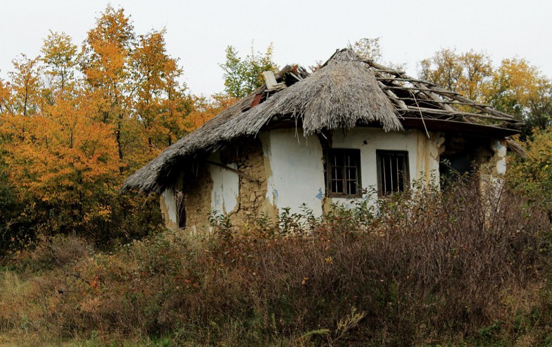 Pleinair de toamnă. Clasa IX - primele studii în ulei. octombrie 2013
