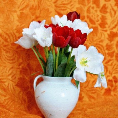 Etudes on Saturday. Flowers