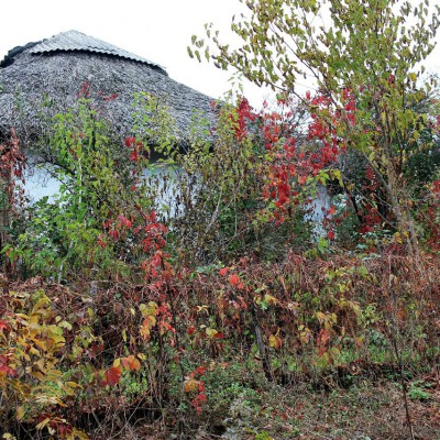 Autumn pleinair. IX grade - first etudes in oil. October 2013