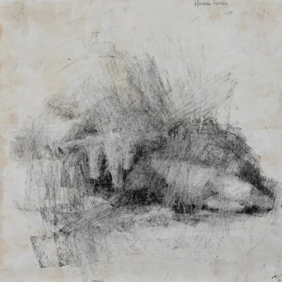 Тест по рисунку. XI класс. 3 ноября 2016 г.