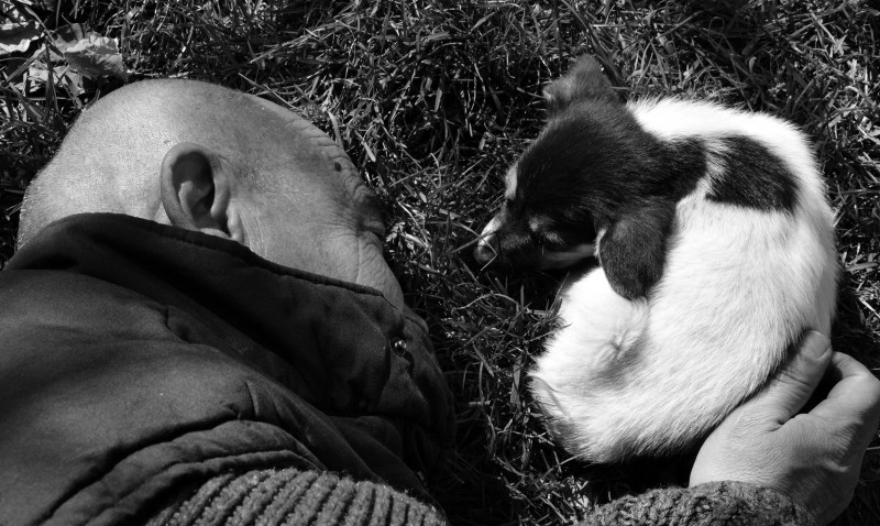 Анатол Гимпу at Анатол Гимпу. Воспоминания ...