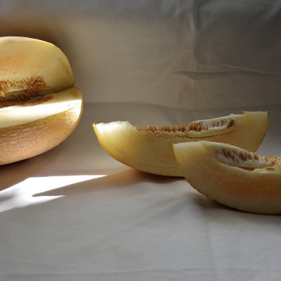 Etudes and drawings of students. September 2020