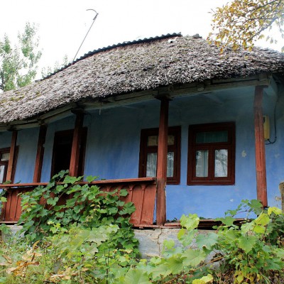 Pleinair de toamnă. Clasa IX - primele studii în ulei. octombrie 2013