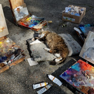 Studii și desene ale elevilor. Septembrie 2020