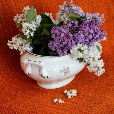 ... In the workshop / May 2021