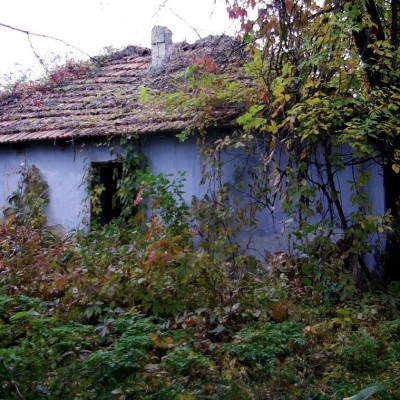 Pleinair de toamnă. Clasa IX - primele studii în ulei. octombrie 2013