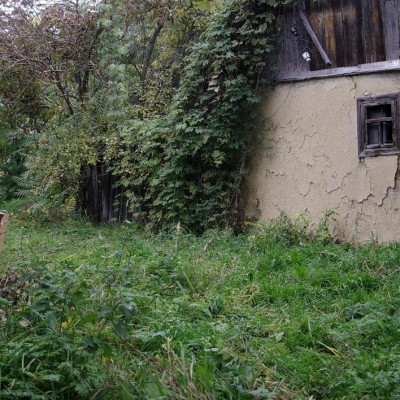 Осенний пленэр. IX класс - первые этюды маслом. Октябрь 2013