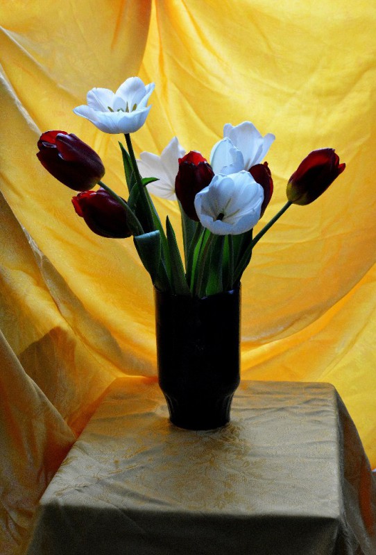 Etudes on Saturday. Flowers