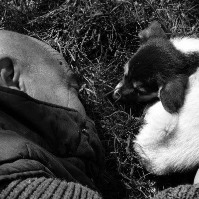 Anatol Ghimpu at Anatol Ghimpu. Memories...