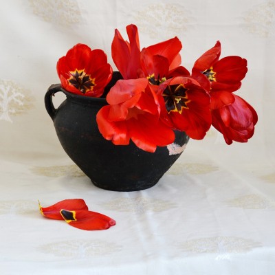 ... în ateliere / mai 2021 /