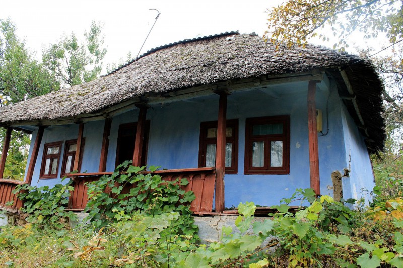 Pleinair de toamnă. Clasa IX - primele studii în ulei. octombrie 2013