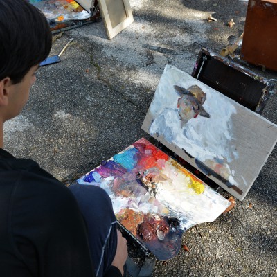 Studii și desene ale elevilor. Septembrie 2020