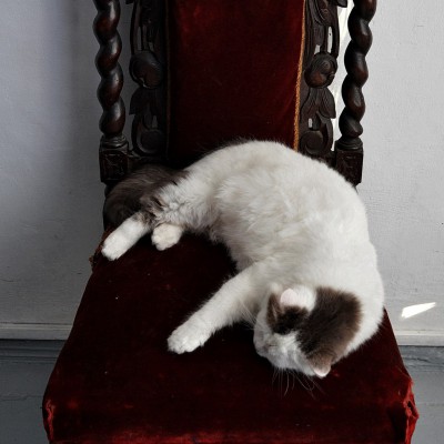 Workshop. Painting lesson. 12 January 2017