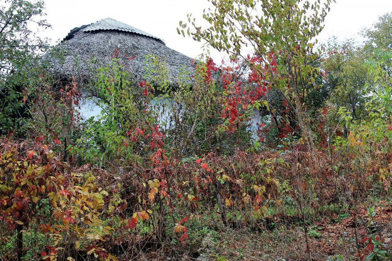 Pleinair de toamnă. Clasa IX - primele studii în ulei. octombrie 2013