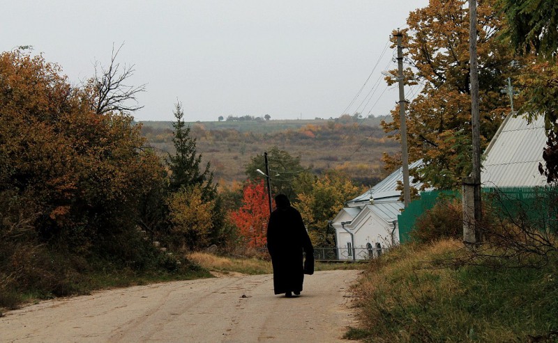 Pleinair de toamnă. Clasa IX - primele studii în ulei. octombrie 2013