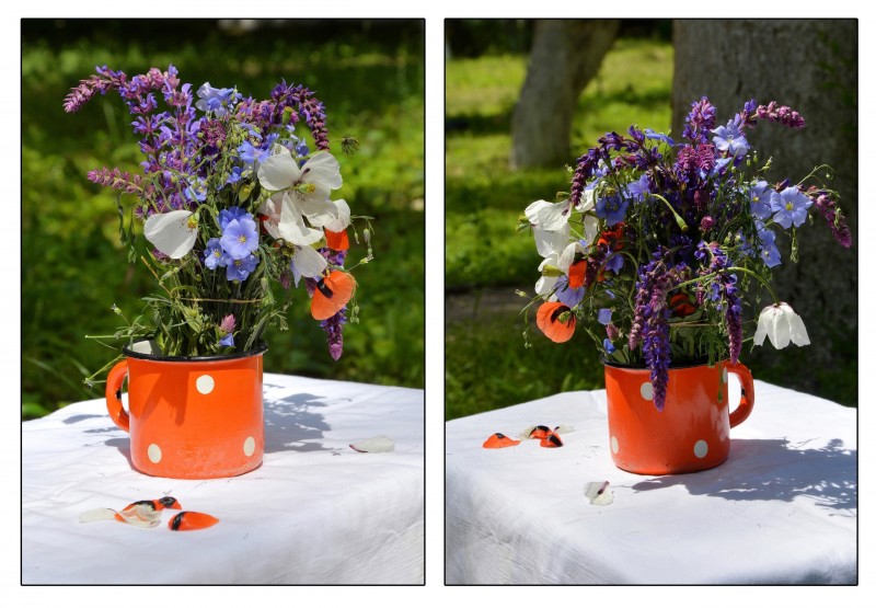 ... începutul practicii de pleinair de vară / clasa a VIII-a, a X-a și a XI-a. /