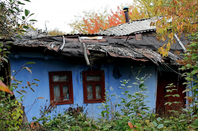 Pleinair de toamnă. Clasa IX - primele studii în ulei. octombrie 2013