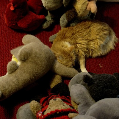 Anatol Ghimpu's studio